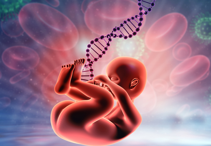 Ilustración en 3D de feto de bebe durante el embarazo con cadena de ADN detrás.