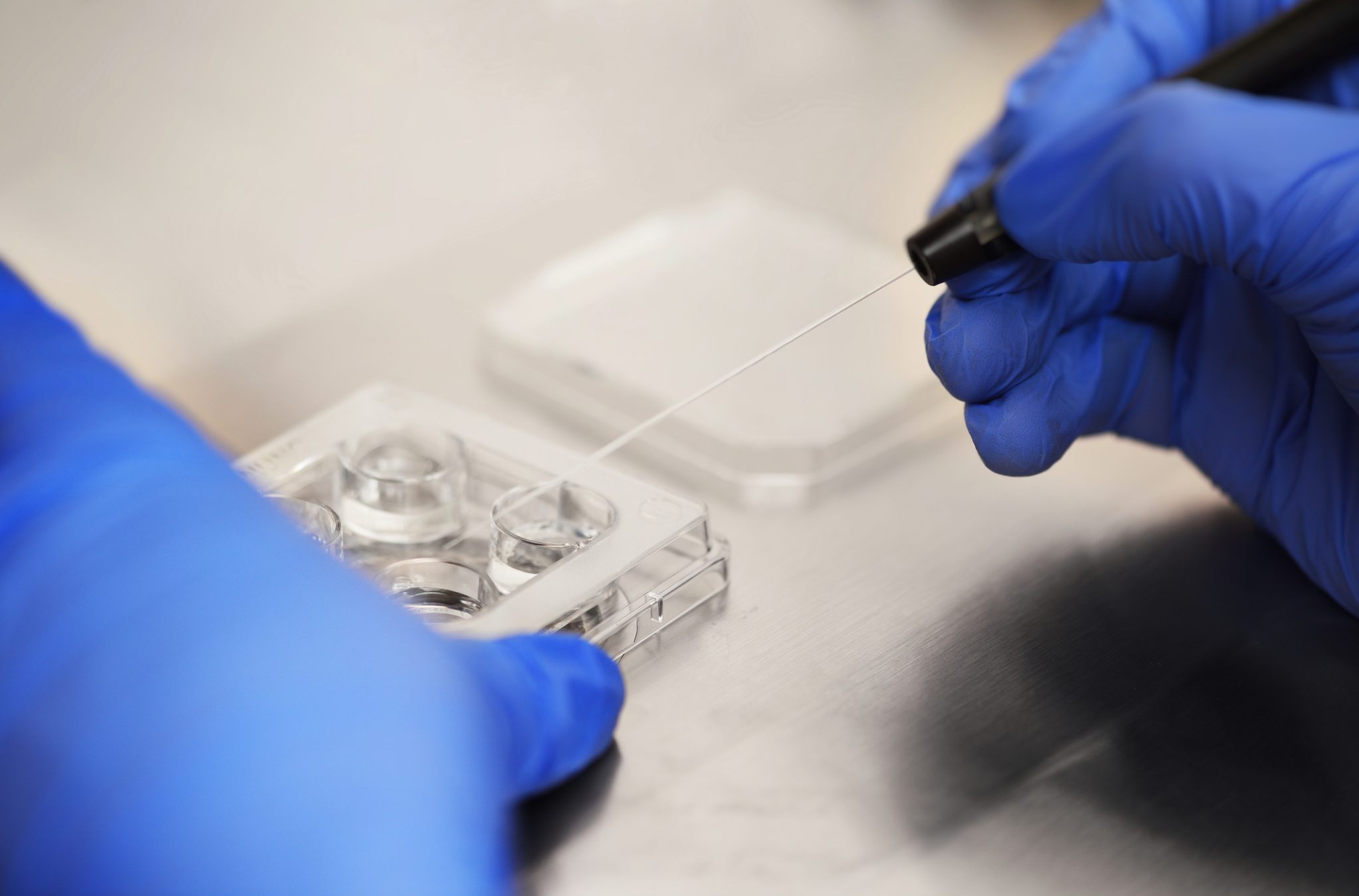 Test genético preimplantacional (PGT) - Instituto de fertilidad Viamed